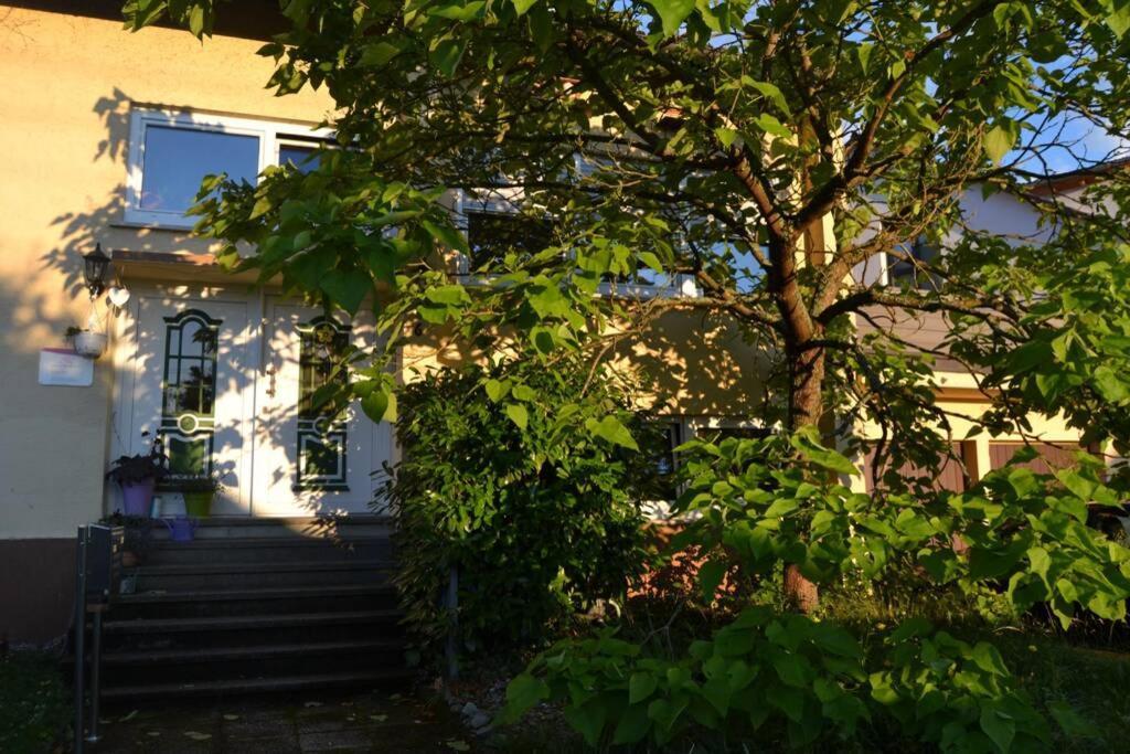 Maison Madlene Frickenhausen  Dış mekan fotoğraf